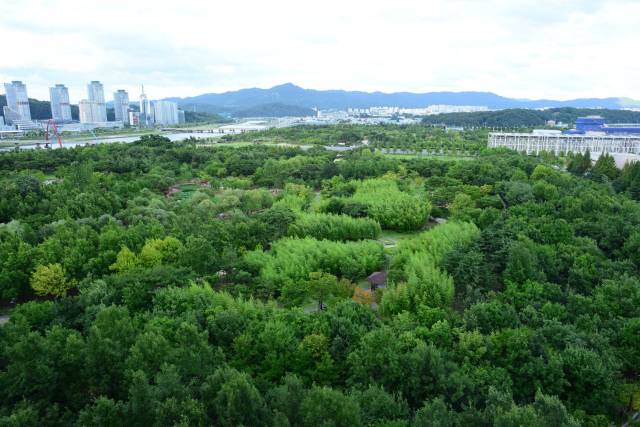 ▲ 기후대응숲은 일반 도시숲과 달리 미세먼지를 흡착하고 확산을 줄이도록 설계된 특징을 보인다. 한밭수목원. ⓒ대전시