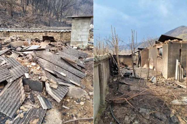 지난 3월 안동에서 발생한 산불로 소실된 김모(가명·88) 씨 옛 주택(왼쪽)과 장남의 집 모습. 김영진 기자