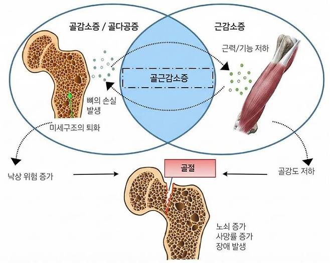 * F Salamanna, et al. Life 2023