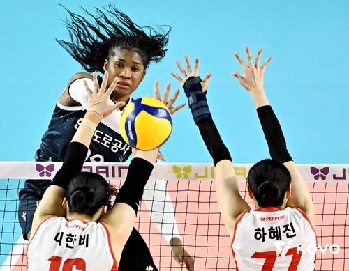 한국도로공사 모마.