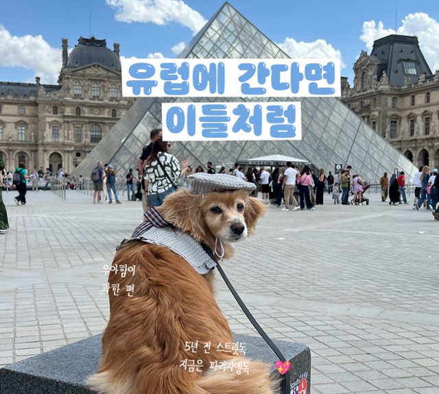보호자 제공