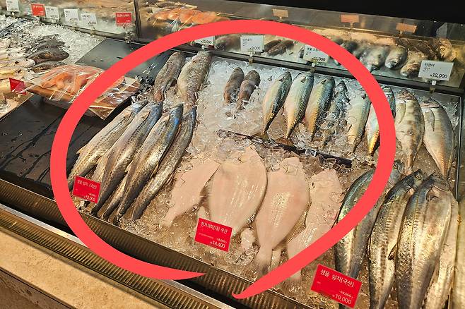 서울 한 백화점 식품관에 생선이 진열돼 있다. 김광우 기자.