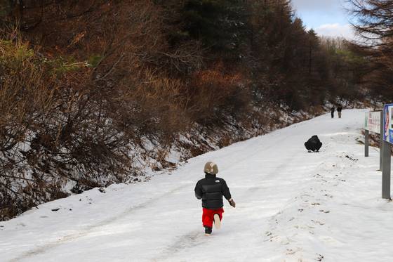 자동차를 몰고 찾아갈 수 있는 만항재. 산책 삼아 눈길을 걷기 좋다.