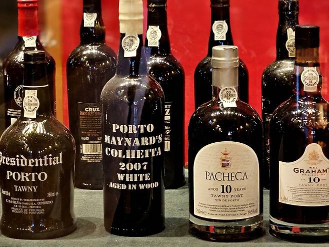 다양한 포트 와인. 최현태 기자