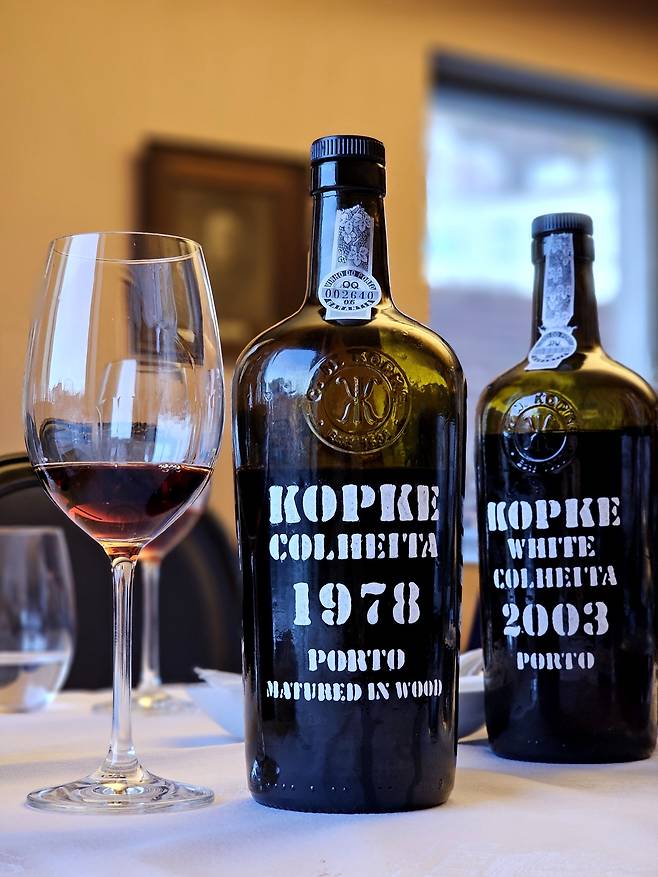 코프케 콜헤이타 1967. 최현태 기자