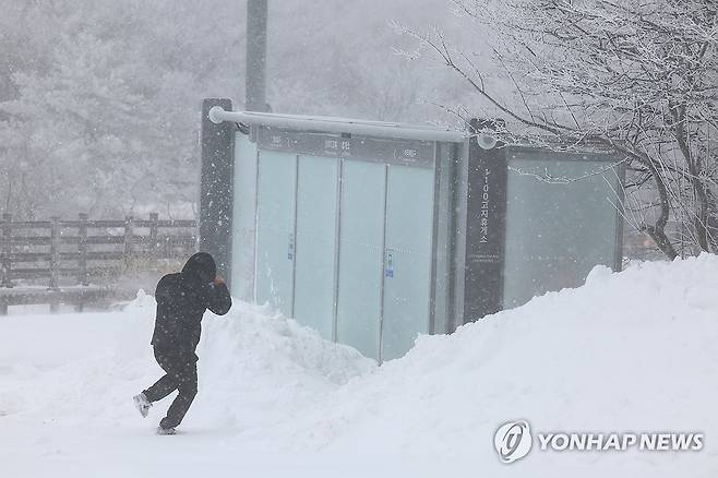 눈보라 몰아치는 1100고지 (제주=연합뉴스) 박지호 기자 = 제주도에 대설과 강풍, 풍랑특보가 내려진 2일 오전 제주 한라산 1100고지에 매서운 눈보라가 몰아치고 있다. 2026.1.2 jihopark@yna.co.kr
