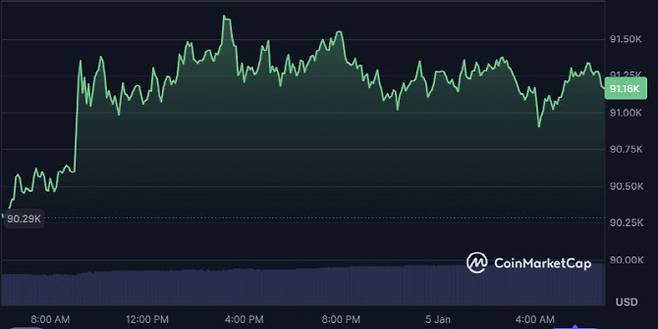 비트코인이 주말새 오름세를 보여 5일 오전 현재 9만1000달러대를 기록하고 있다. (사진=코인마켓캡)
