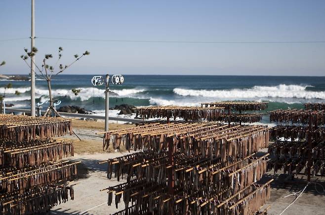 구룡포과메기 덕장