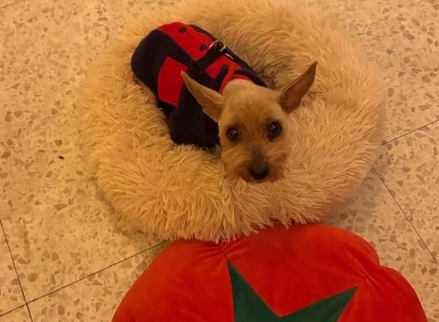 최근 가족과 함께하는 니루의 모습(보호자 제공) ⓒ 뉴스1