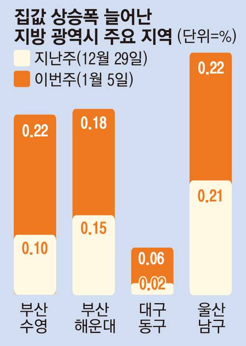 집값 상승폭 늘어난 지방광역시