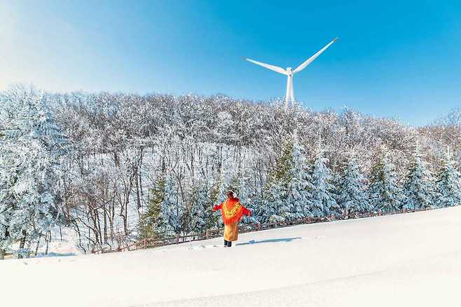 겨울철 풍경일번지 대관령 삼양목장_한국관광공사 제공