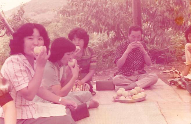 1970년대만 해도 서울 시흥이나 오류동, 과천 근처엔 과일 농장이 많았다. 원풍모방의 20대 여성 직원들은 주말이면 일정 금액을 내고 과일을 마음껏 따먹을 수 있는 과수원에 놀러 다니는 게 큰 낙이었다. 필자 제공