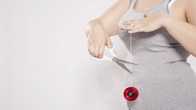 요요 현상 없는 다이어트의 핵심은 '대사 유연성' 회복이다|출처: 클립아트코리아