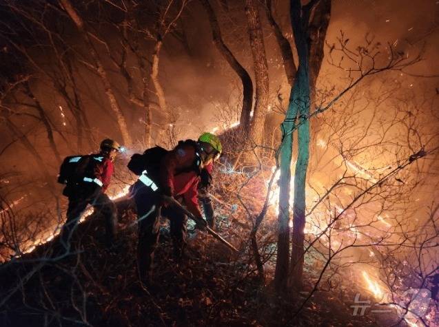 강원 양양 서면 일대에서 발생한 산불 현장에서 진화대원이 야간 진화 작전을 펼치고 있다. (동부지방산림청 제공, 재판매 및 DB 금지) 2025.11.23/뉴스1