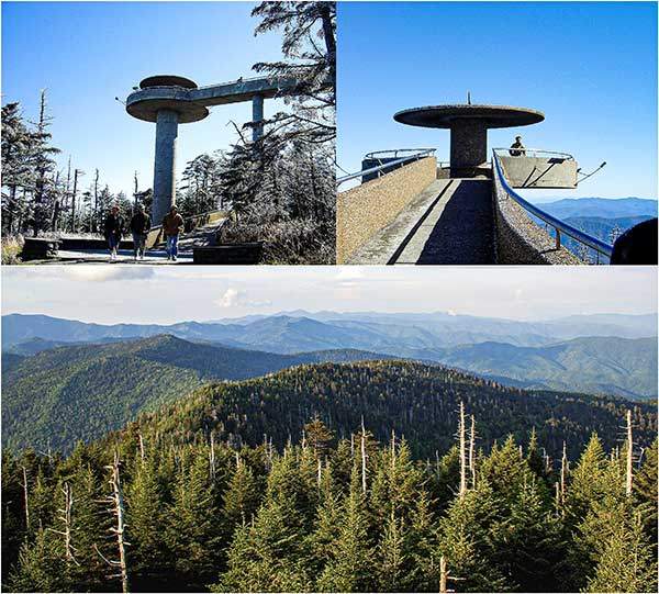 최고봉 클링맨스 돔Clingmans dome. 해발 2,025m의 산 정상으로 2024년부터 쿠워히Kuwohi라고 부른다. 매년 65만 명이 찾는 명소다. 날씨가 좋으면 150km까지 멀리 보이지만, 평소에는 안개와 대기오염 때문에 30km쯤만 보인다. 아래 사진에서 전나무Fraser fir가 하얗게 말라 죽는 것은 유럽에서 유입된 아델지드adelgid라는 곤충 때문이다. 향토종인 전나무는 외래종 침입 시 저항력이 약해 쉽게 말라 죽는다.
