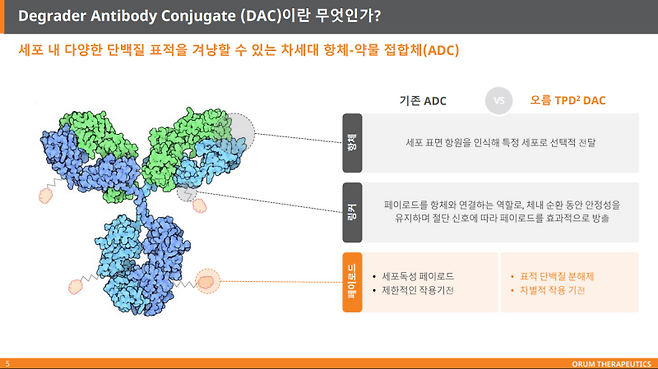(자료=오름테라퓨틱)