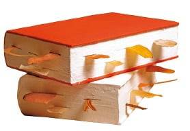 책갈피를 뽑아내듯 먹는 말린 과일 칩. /발보스테 제공