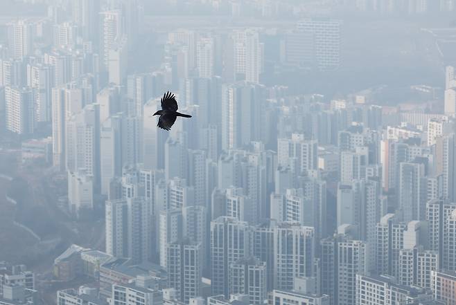 지난해 12월17일 경기 광주시 남한산성에서 까마귀가 안개와 초미세먼지로 뿌연 도시 위를 비행하고 있다. 연합뉴스