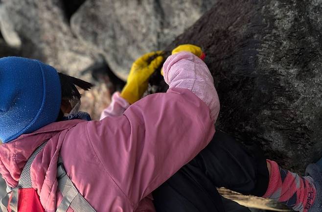 같은 날 오후 북면 죽암리 해변에서도 돌김 채취가 한창이다. /황진영 기자