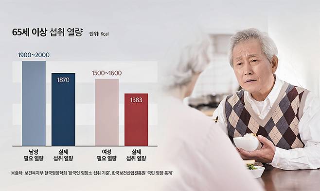 65세 이상 노인들은 에너지 필요량보다 섭취량이 적으므로 영양소와 열량 섭취에 신경을 써야 한다. /그래픽=김경아