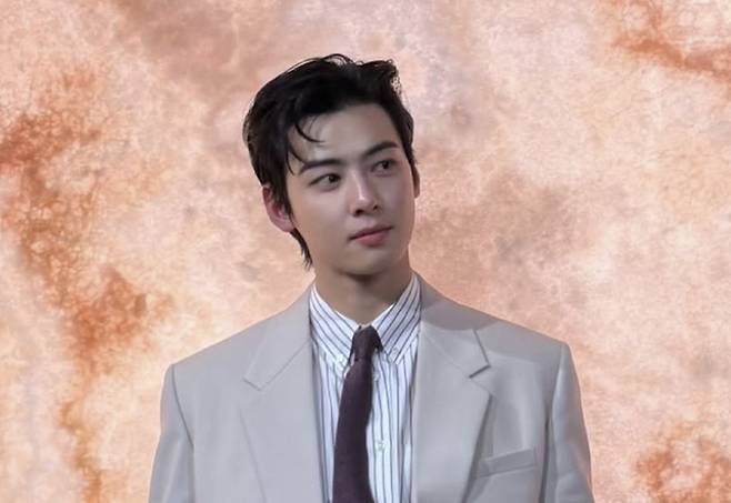 차은우. 사진| SNS