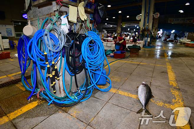 22일 경북 포항시 죽도어시장 좌판 상인들이 사용하는 수도호수가 강추위에 얼어 붙은 가운데 경매를 마친 대방어 한마리가 주인을 기다리고 있다. 이날 포항지역 아침최저 기온은 영하 9도 체감기온은 영하 11도를 기록했다. 2026.1.22/뉴스1 ⓒ News1 최창호 기자