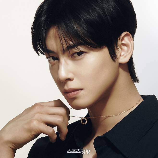 약 200억원 규모의 탈세 의혹을 받는 아스트로 멤버 차은우. 경향신문 자료사진