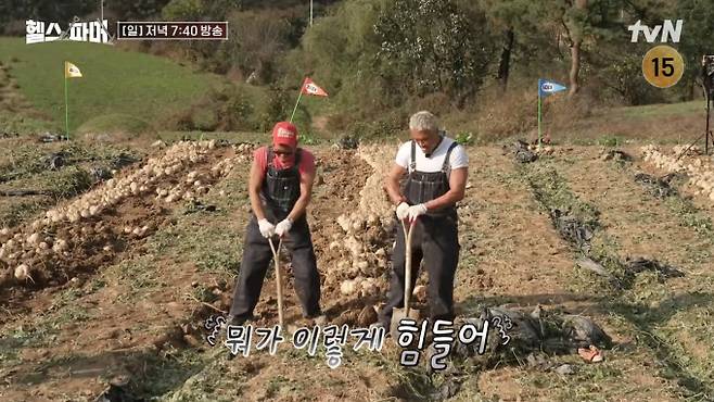 '헬스파머' 경북 의성 히카마 도전