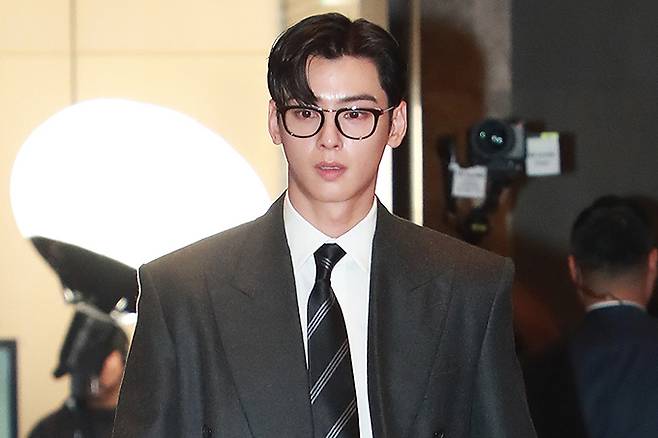 그룹 아스트로 출신 배우 차은우(29)가 '200억 탈세 의혹'을 받는 가운데, 한 전문가가 이번 사안을 알기 쉽게 정리한 해설을 내놨다./사진=머니투데이 DB