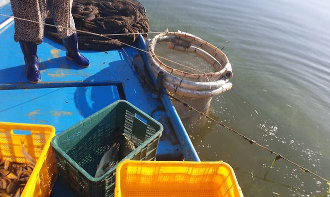 안동호 내수면에서 어업인이 물고기를 잡고 있다. 안동시 제공