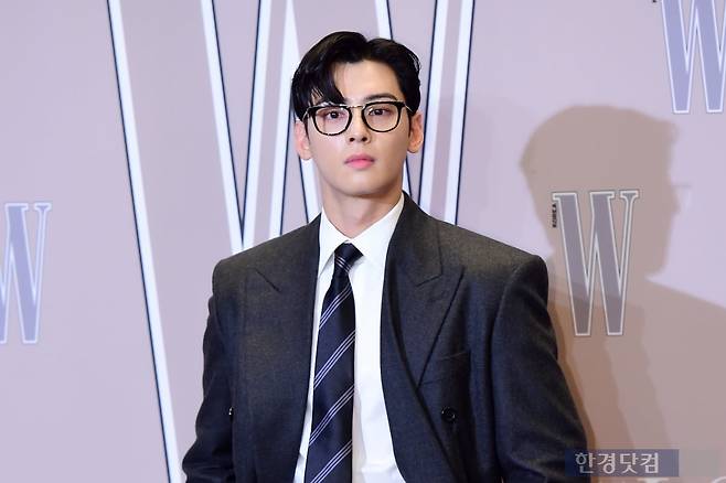 그룹 아스트로 차은우. /사진=변성현 기자