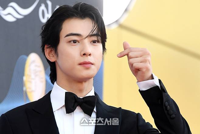 차은우. 사진 | 스포츠서울DB