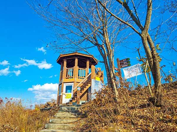 밀양 시내가 잘 보이는 일자봉 전망대.