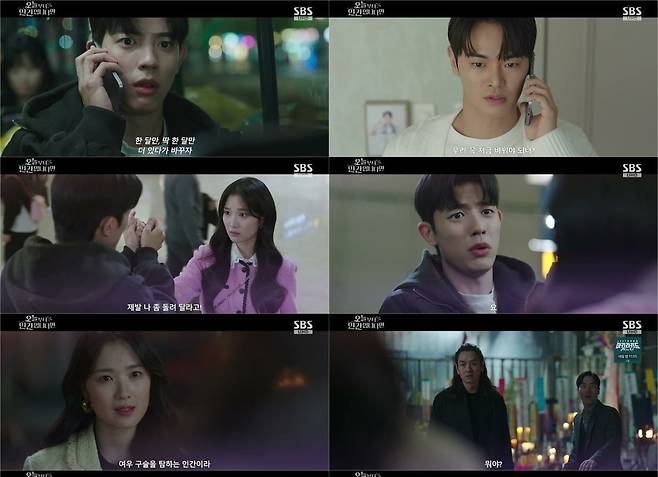 사진=SBS