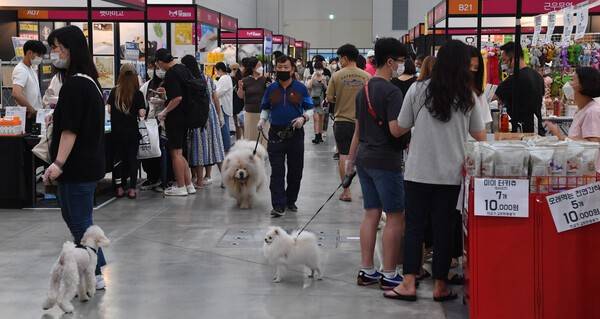 지난 2020년 7월 인천시 연수구 송도컨벤시아에서 열린 '마이펫 페어 2020 반려동물 박람회'에서 시민들이 애견을 위한 다양한 상품을 살펴보고 있다. /기호일보 DB