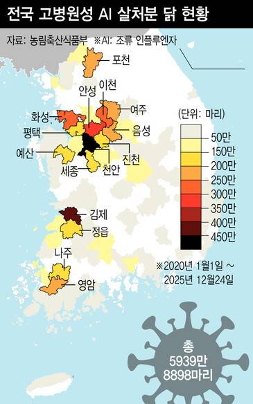지난 5년간 고병원성 조류인플루엔자 살처분 닭 현황. 정리 산안마을, 자료 농림축산식품부