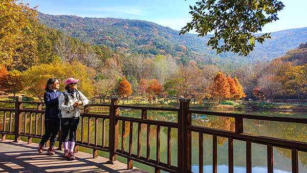 두꺼비 서식처로 유명한 업동저수지 들머리.