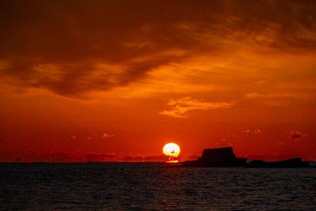 부산 사하구 다대포 화손대는 바로 앞 중절모를 닮은 모자섬을 배경으로 일출을 담을 수 있는 사진 명소다. 이글거리는 둥근 해 중간을 가로질러 날아가는 바닷새가 해돋이 풍경에 동참하고 있다.