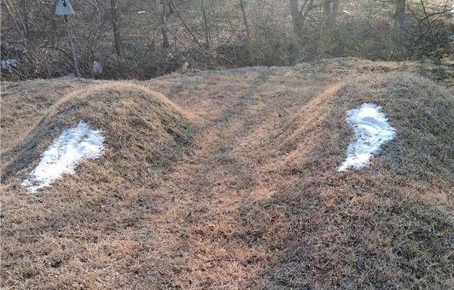 충북 옥천의 한 야산에 있는 묘에 소금이 뿌려져 있다. 연합뉴스