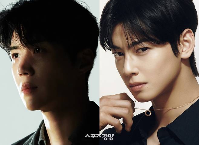 200억원대 추징금을 통보받은 차은우(오른쪽)와 별도로 판타지오에 소속된 김선호 또한 유사한 별도 기획사를 만들어 실질적인 절세 행위를 한 것으로 드러났다. 경향신문 자료사진