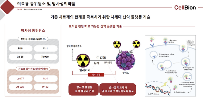 (자료=셀비온)
