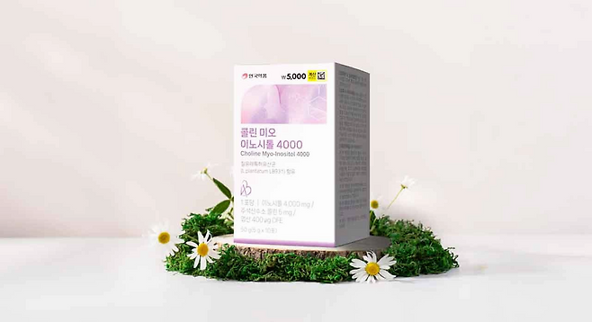 다이소 영양제