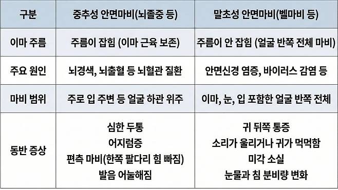 중추성 안면마비, 말초성 안면마비 차이점|출처: Gemini 생성