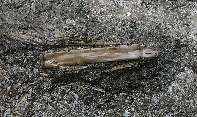 1500년 전쯤 백제 궁중에서 연주된 것으로 추정되는 대나무 횡적(가로 피리)이 충남 부여군 관북리 유적에서 출토됐다. 국립부여문화유산연구소 제공