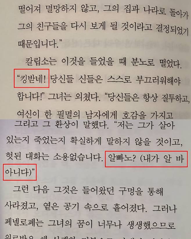 국내 한 출판사가 낸 오디세이아 번역본 발췌. /이호준 기자