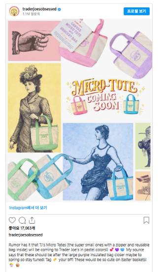 미국 대형마트 트레이더 조 인플루언서의 '캔버스 토트백' 신상품 출시 루머 SNS 게시글 /사진=traderjoesobsessed 인스타그램