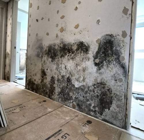 ◇K건설이 양양읍에 건설한 모 아파트 내부. 권 모씨가 계약한 아파트로 거실 벽이 곰팡이로 얼룩지는 등 하자가 발생했다.