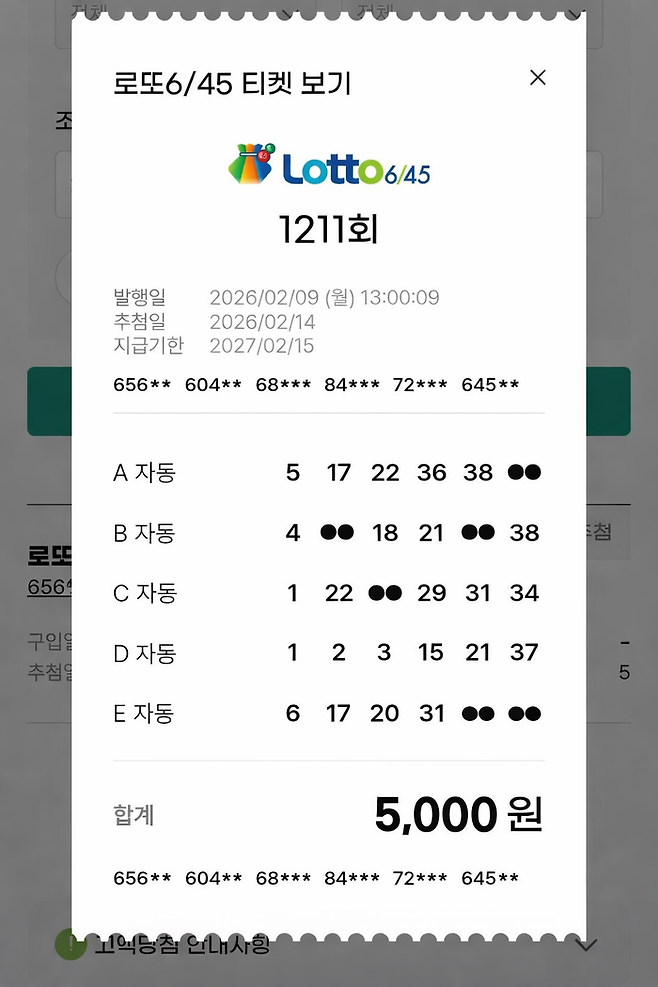 9일 낮 기자가 스마트폰으로 처음 구매한 로또6/45 모바일 티켓 화면. 동행복권 모바일 웹에서 본인 인증과 예치금 충전 절차를 거쳐 자동 선택 방식으로 5천원어치를 구매하자 전자 영수증 형태의 티켓이 즉시 생성됐다.강승규 기자