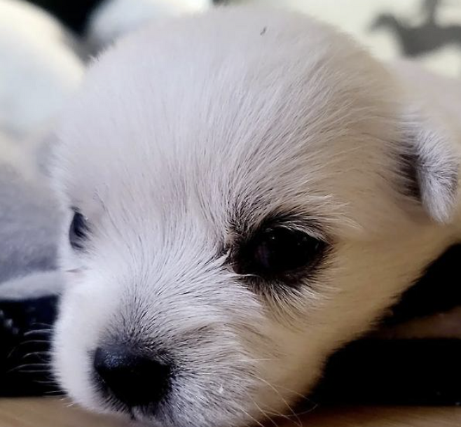 윤택 인스타그램 캡처.