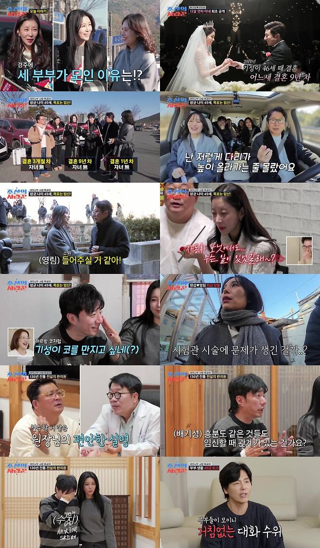 TV조선 ‘조선의 사랑꾼’